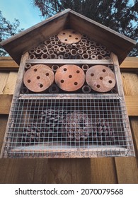 A Bug Hotel In Autumn