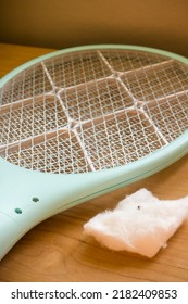 A Bug Killer Racket With A Dead Mosquito 