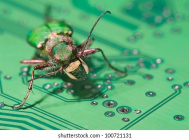 Bug On Computer Microcircuit