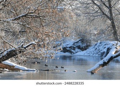 The Bug river in winter scenery.