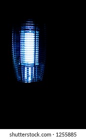 Bug Zapper At Night