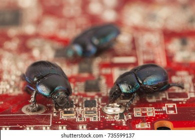Bugs on a computer chip