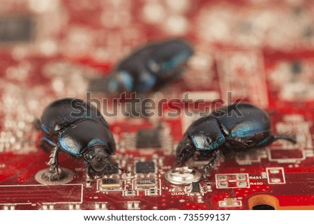 Bugs on a computer chip