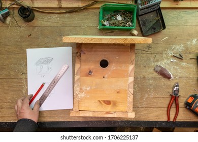 Build Birdhouse, Wood, Screws And Tools Lying On The Bench