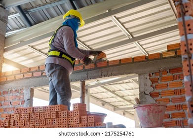 Builder Carefully Puts Red Brick On The Masonry. Quick Work Bricklayer. Guy Measures Level Masonry. Man Is Building Brick Wall. Correctly Calculate Material. Builder Manually Carries Brick Structure,B