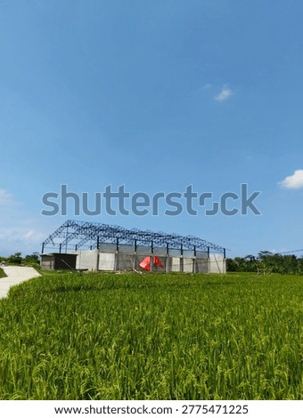 Builders require a visual of warehouse construction progress within a verdant paddy landscape.

Agribusiness managers seek imagery representing smart farming infrastructure integrated into traditional rice fields.

Real estate planners look for rural development projects showing structural skeletons on fertile ground.

Fabricators need high-quality shots of a sturdy steel frame erected under an azure sky.

Ecologists study land transformation where industrial foundations meet agricultural greenery.

Architects search for an industrial shed design featuring metal trusses over concrete walls.

Designers focus on eco building concepts blending modern materials with organic environments.

Shipping firms browse for a remote storage facility being built near harvesting zones.

Exporters identify grain storage solutions situated directly beside growing cereal crops.

Engineers examine a heavy metal structure standing amidst sprawling meadows during clear weather.