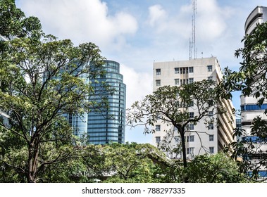 building behind trees 