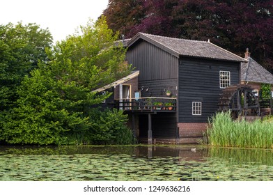 Building between green