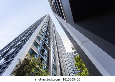 Building Cityscape HighClass Design View