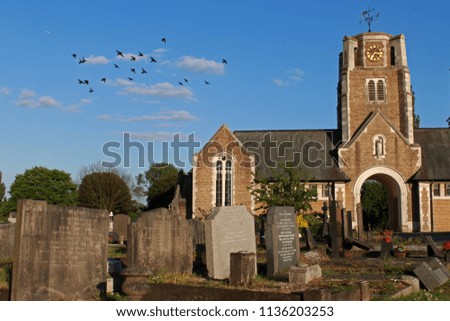 A building with a clocktower sits in this old cemetary in London.