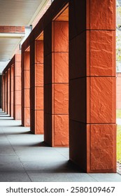 Building columns row perspective Red brown concrete texture Architecture details