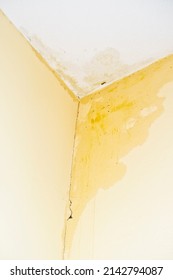 Building Damage Concept: Big Water Stain In The Corner Of A Yellow Room, Caused By A Leaking Pipe, A Leaky Roof Or Cracks In The Wall.