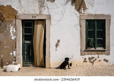 Building has stone walls and appears to be quite old. In front of the building, we see a dog sitting on the ground in front of a green door with glass panes dog is facing towards the camera. - Powered by Shutterstock