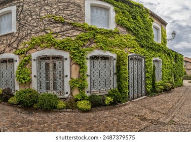 Building with ivy stands on a cobblestone street in Saint-Étienne, France. Ornate windows contrast stone facade with lush greenery - Powered by Shutterstock