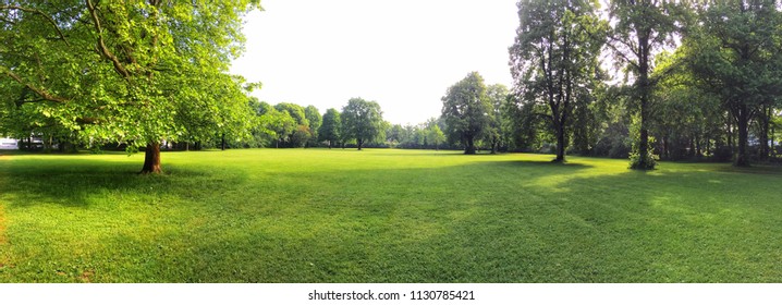 Building Land For New Construction Project On Green Meadow, Plot For Construction Area