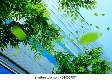 Building, leaf
