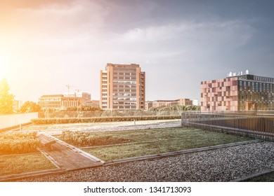 the Building Location