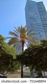 Building and Palm