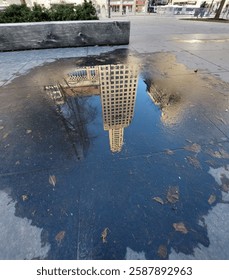 Building reflected in puddle. Chicago