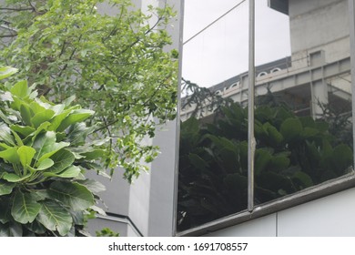 Building with reflections in the windows 