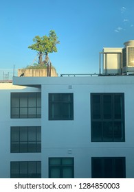 Building with the sky