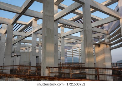 Building Structure With Many Concrete Pillars