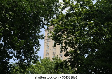 Building Through the Trees