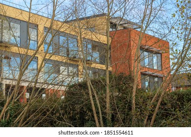 Building through the winter leafless trees