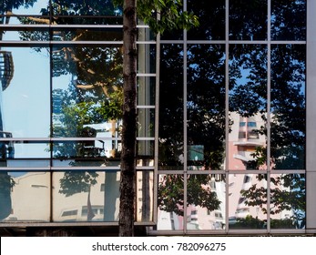 building and tree