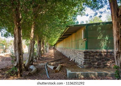 Building and trees