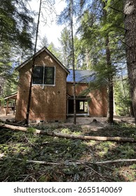 A building under construction in a forest