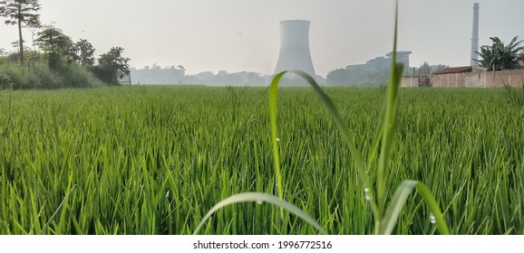 Buildings Agriculture Farm Green Invertebrata Nature