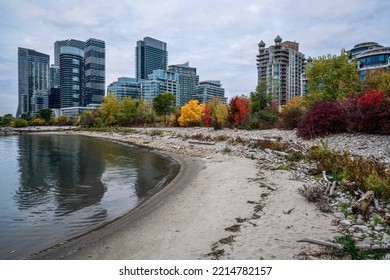 Buildings Along Lakeshore During Autumn Near Humber Bay Park In Toronto, Ontario, Canada