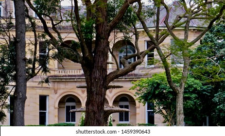 Buildings On The Grounds Of The King's School, Pennant Hills Road, North Parramatta, NSW, Australia On 22 July 2019 (Private Day & Boarding School For Boys)                             