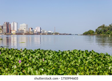 Rio Guaiba High Res Stock Images Shutterstock Rio Guaiba High Res Stock Images Shutterstock