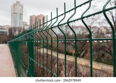 buildings rising behind wet fences