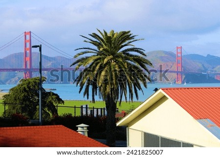 Buildings surrounded by Palm Trees and a manicured lawn with the Golden Gate Bridge beyond taken at The Presidio in San Francisco, CA