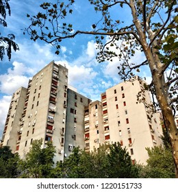 Buildings and trees