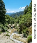 buja waterfall cascades, nested in a forest flows into a natural swimming pool, San-Gavino-di-Fiumorbo, Corsica, France