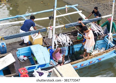 BUKANA, PHILIPPINES - FEB. 10: Fishermen In The Port Of The Village Is Cut Shark Fins FEB. 10, 2016 In Bucana Philippines. 