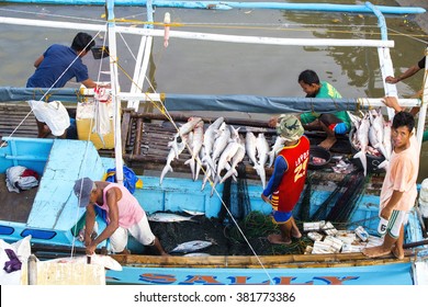 BUKANA, PHILIPPINES - FEB. 10: Fishermen In The Port Of The Village Is Cut Shark Fins FEB. 10, 2016 In Bucana Philippines. 