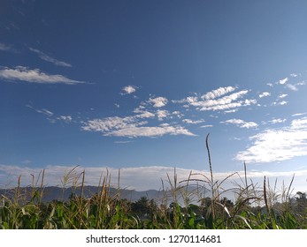 Bukit Barisan Mountains In The Morning