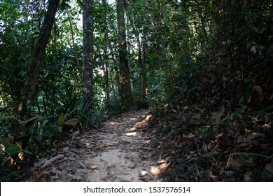 Bukit Gasing Images Stock Photos Vectors Shutterstock