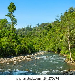 Bukit Lawang Village, Sumatra, Indonesia