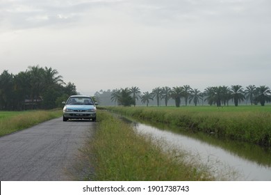 Bukit Merah - December 30 2020 :  Proton Malaysia Car Are Moving On The Road Near By Paddy Field In Bukit Merah,Perak Malaysia