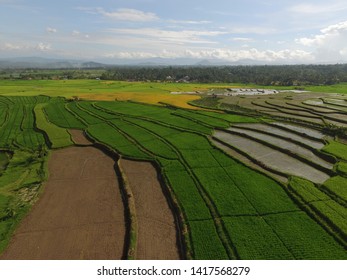 Bukittinggi, Indonesia - June 7, 2019: Images Of Rice Fields In The Countryside Set In The 