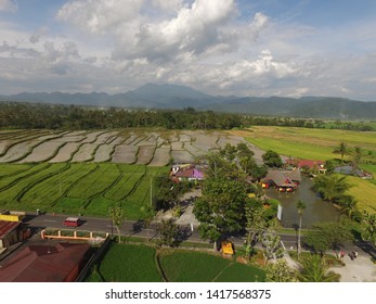 Bukittinggi, Indonesia - June 7, 2019: Images Of Rice Fields In The Countryside Set In The 