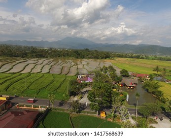 Bukittinggi, Indonesia - June 7, 2019: Images Of Rice Fields In The Countryside Set In The 