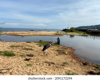 Bukoba On The Lake Victoria, Tanzania