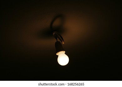bulb
